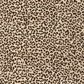 Extra-Thick, Stain-Resistant PVC Decorative Wall Wallpaper